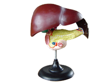 SD-093 33216ʮ֬cKģ